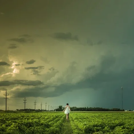Еріх Фромм. Втеча від свободи