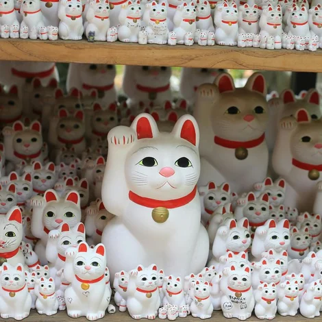 Сколько платить психологу и что символизируют деньги в терапевтических отношениях?