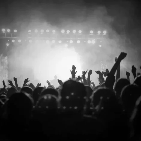 Чемпионат эйфории: движущие силы толпы на матчах и в повседневности